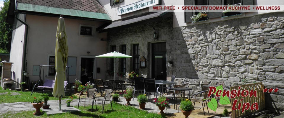 Wellness a masáže - Pension Lípa - Horní Maršov